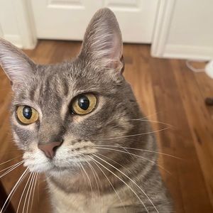 Meet your Posher, Aurora